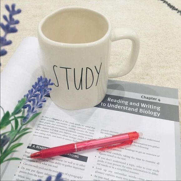 Rae Dunn Study Ceramic Mug - Picture 1 of 1